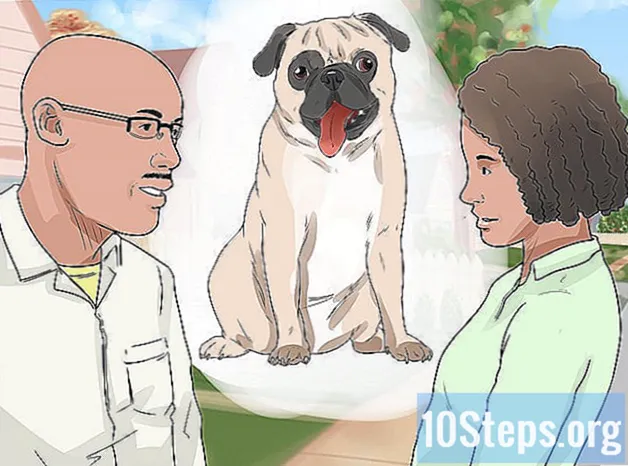 Cách huấn luyện chó con