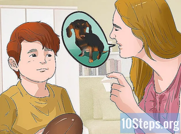 Kuidas õpetada oma koera koerauksele - Knowledges