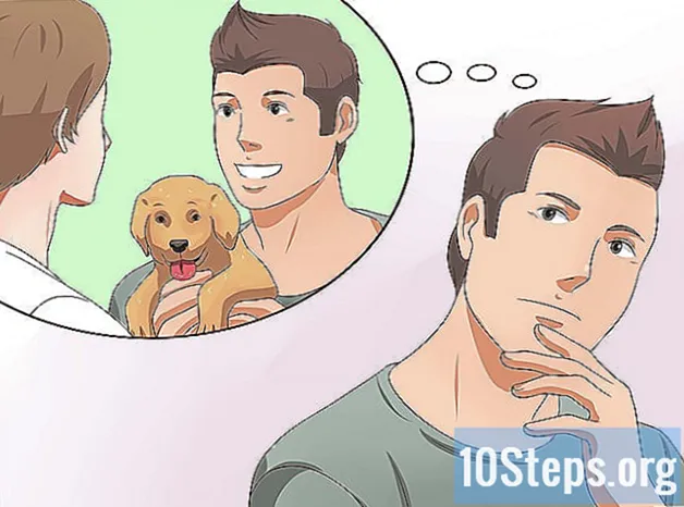 Как да дресирате кученцето си