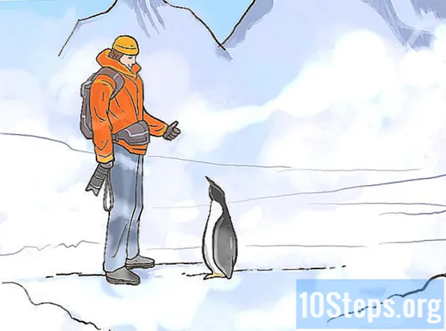 Како путовати на Антарктик