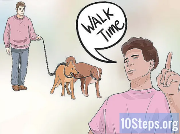 Hur man går två hundar med en koppel