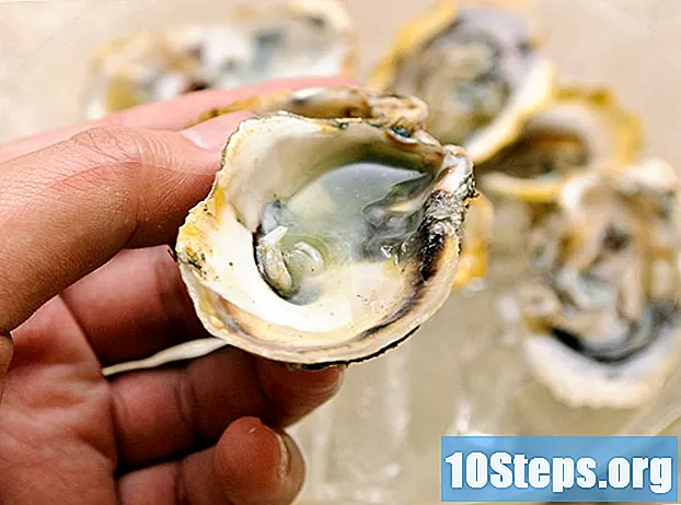 Paano Magbukas ng Oysters