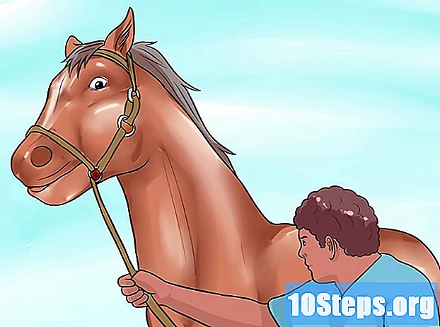 Hoe een bang paard te kalmeren