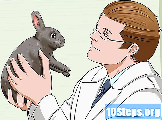 Как успокоить кролика