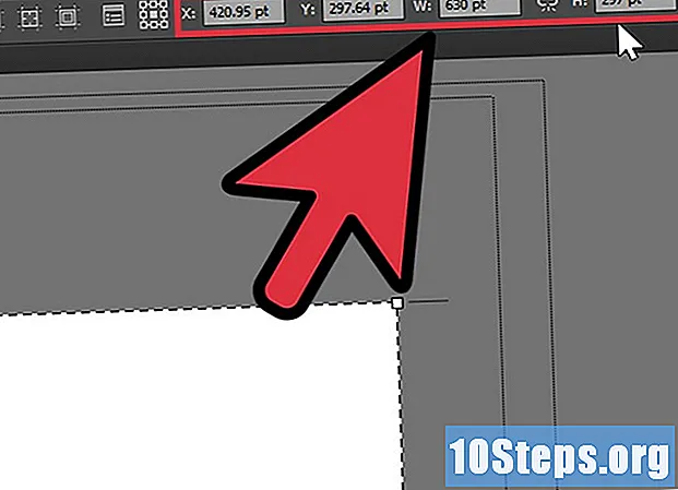 So fügen Sie Seiten in Adobe Illustrator hinzu - Tipps