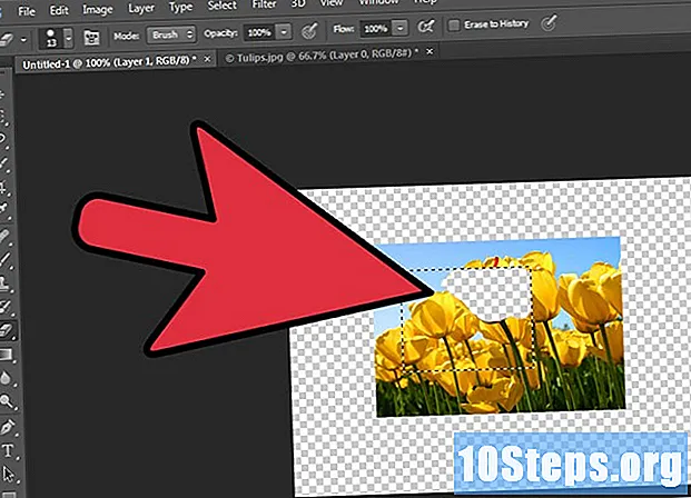 Hur man lägger till transparens i Photoshop - Tips