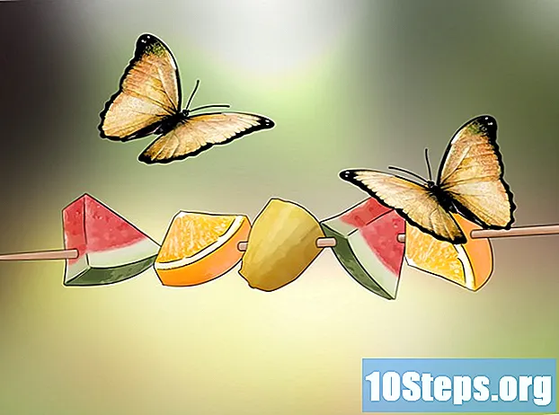 Cómo alimentar a las mariposas