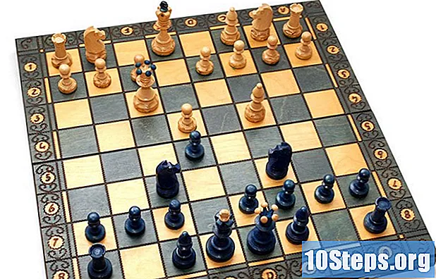 Chess에서 "Mate Pastor"를 적용하는 방법