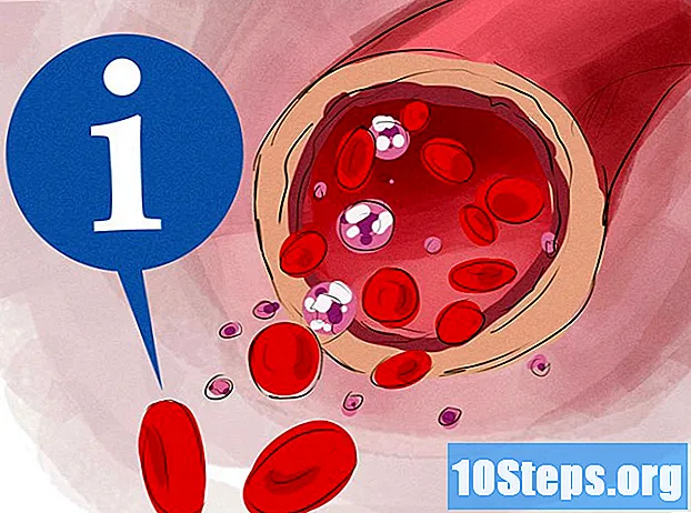 Wie man die Anzahl der roten Blutkörperchen erhöht