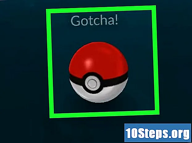 Як зловити пікачу в Pokémon GO - Чайові