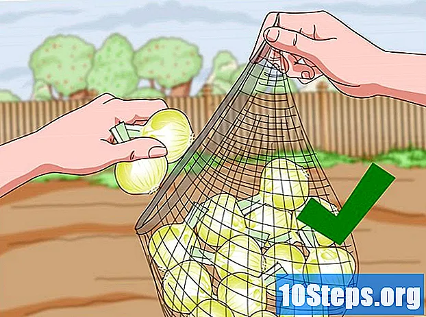 タマネギを収穫する方法