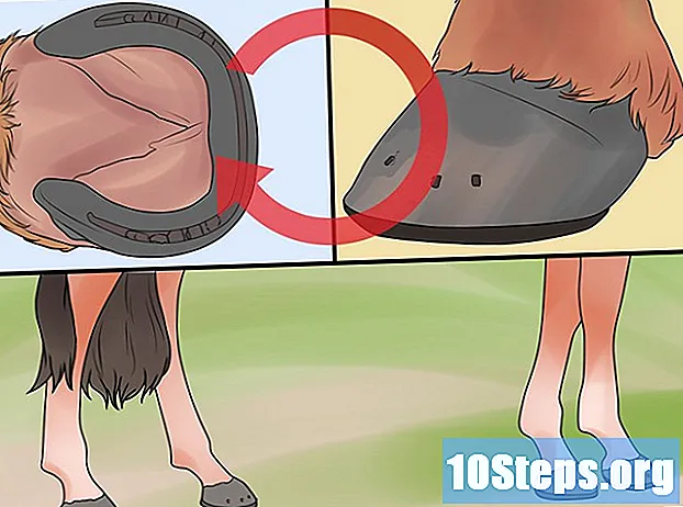 Làm thế nào để tạo móng ngựa