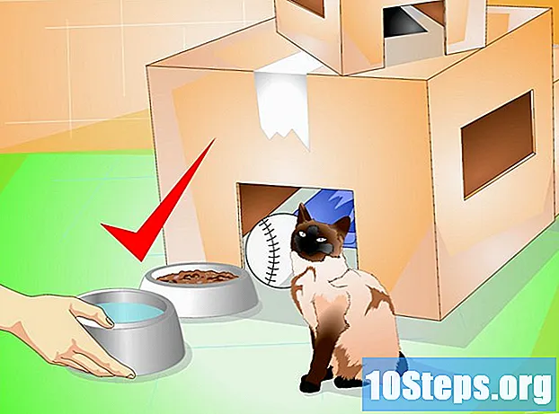 Як побудувати будинок для котів