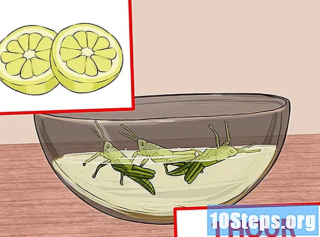 Πώς να μαγειρέψετε ακρίδες