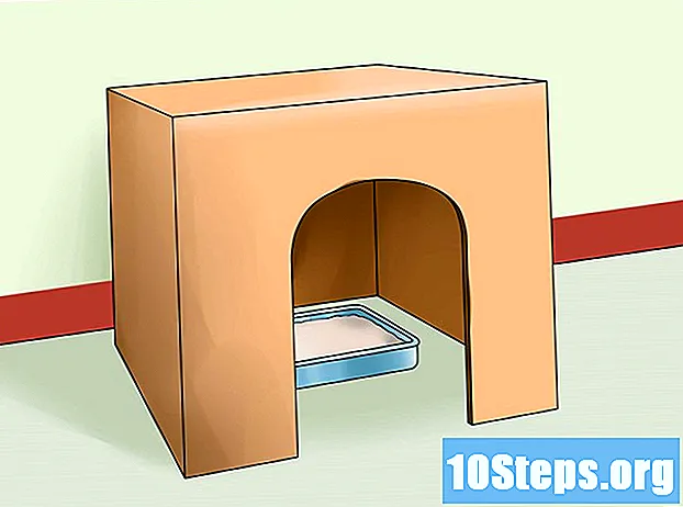 Kako stvoriti sobu za svoju mačku