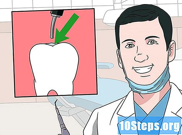 歯の手入れ方法