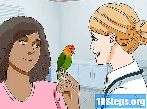 Kako se brinuti za ljubavnu pticu