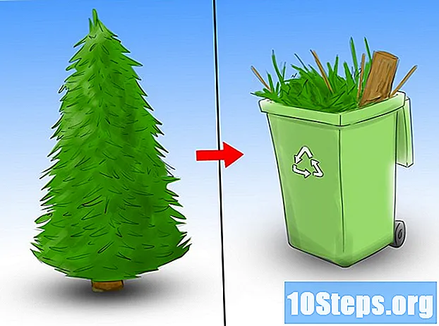Hoe zorg je voor een kerstboom