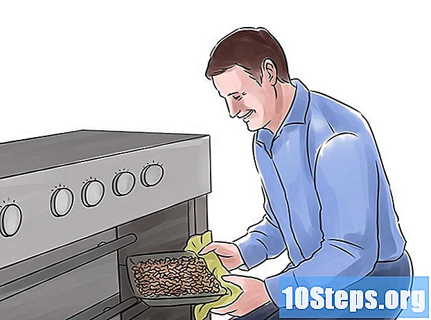 Jak pěstovat arašídy - Tipy