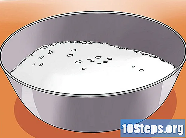 Cómo cultivar arroz - Consejos