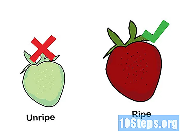 Kuidas hüdropoonilisi maasikaid kasvatada - Vihjeid
