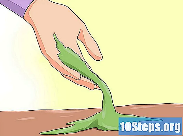 Как вырастить мох