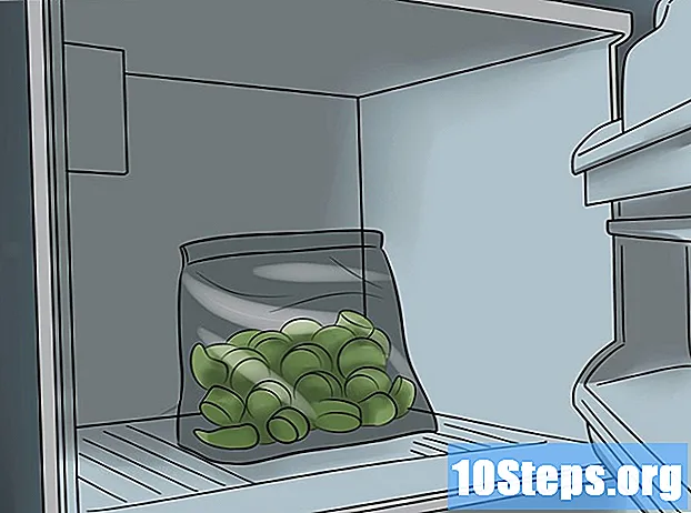 Cách trồng đậu bắp