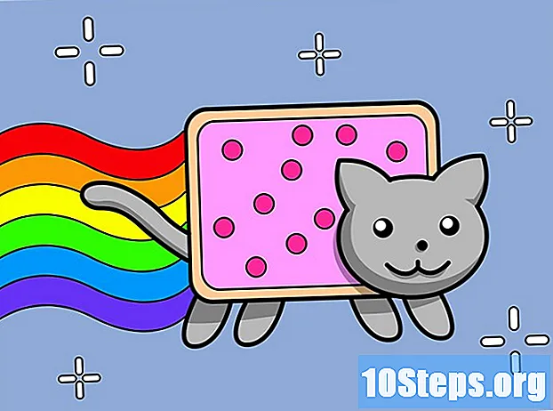 Jak nakreslit Nyan Cat