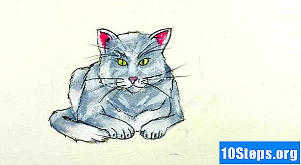 كيفية رسم قطة