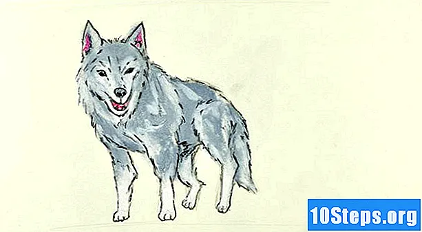 Cum să desenezi un lup
