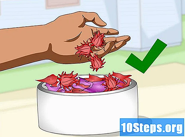Wie man Hibiskusblüten entwässert - Tipps