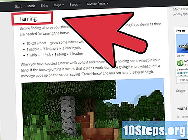 Hogyan szelídíthetjük a lovakat az Minecraftban - Tippek