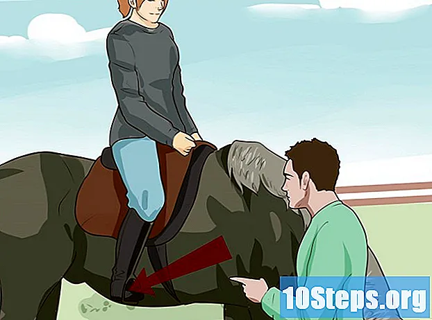 วิธีการเลี้ยงม้า