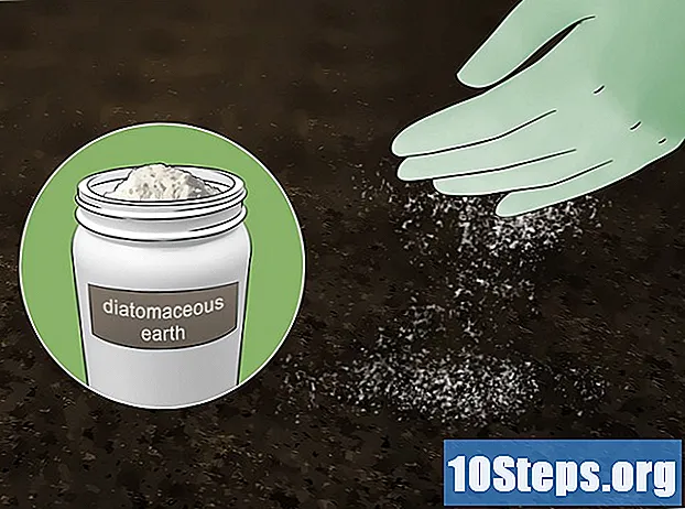 Как да премахнем гъбичките на гънките