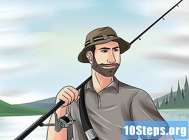Hvordan finne den beste tiden å fiske - Tips