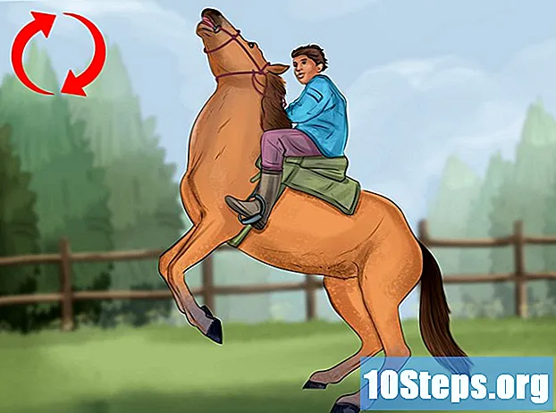 Cómo enseñar a un caballo a hacer cabriolas