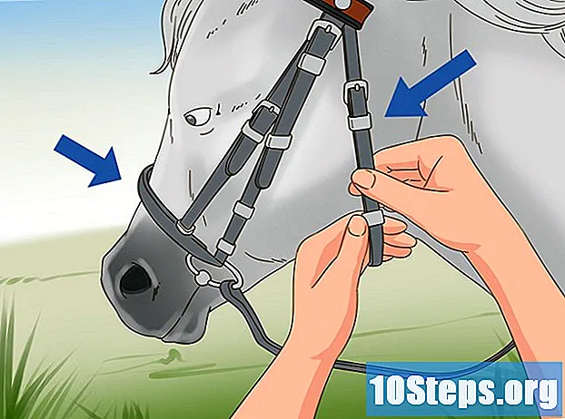 कैसे एक घोड़े को लैस करने के लिए