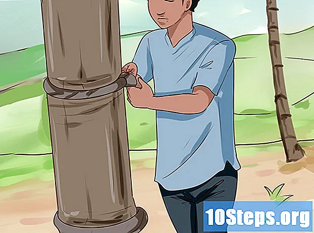 Как да изкачим кокосово дърво