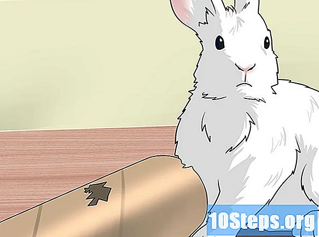 Ako si vyrobiť domáce králičie hračky
