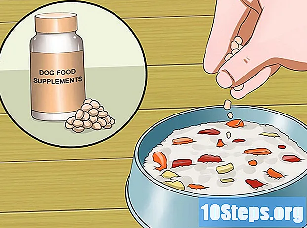 Як приготувати їжу для собак з алергією