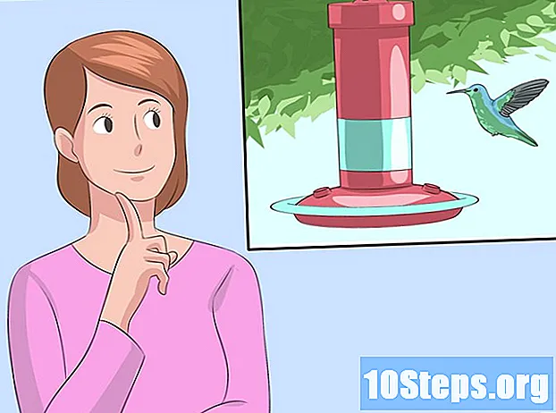 Kuinka tehdä Hummingbird-nektaria kotona