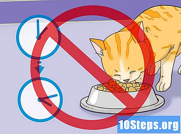 Cum să vă faceți pisica mai pură