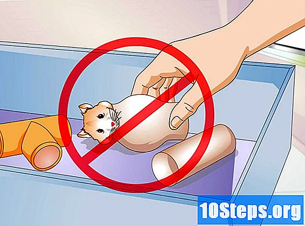 Kuinka tehdä hamsteri leikkikehä