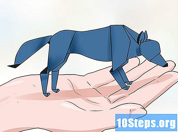 Come creare un lupo in origami