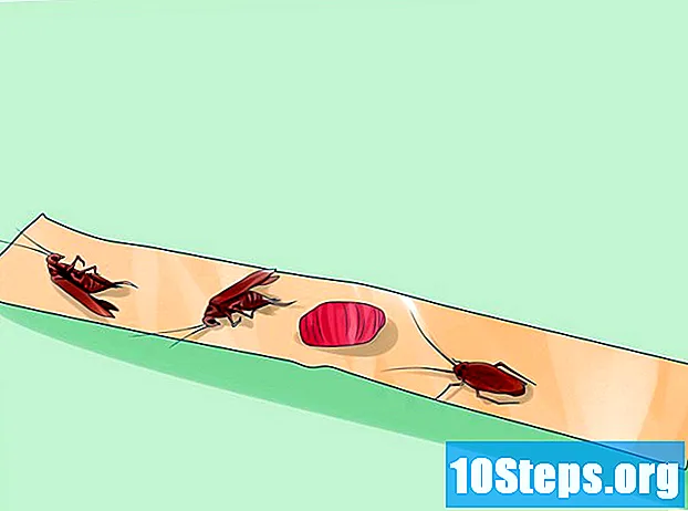 Kako napraviti zamku od žohara