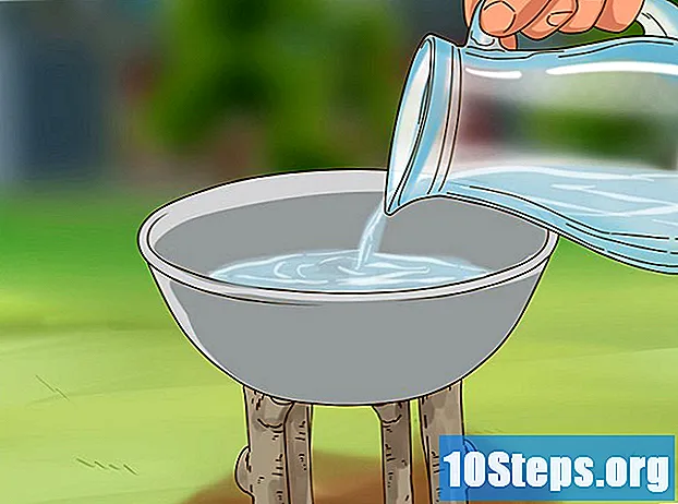 Hvordan man laver et fuglebadekar