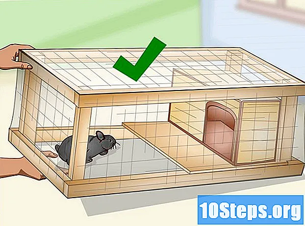 Come realizzare una gabbia per conigli
