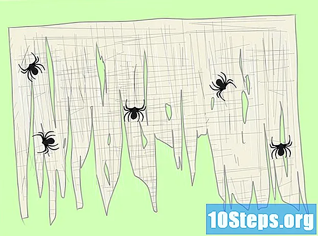 クモの巣を作る方法