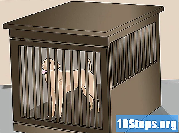 Как да предотвратим кучетата да почесат врати