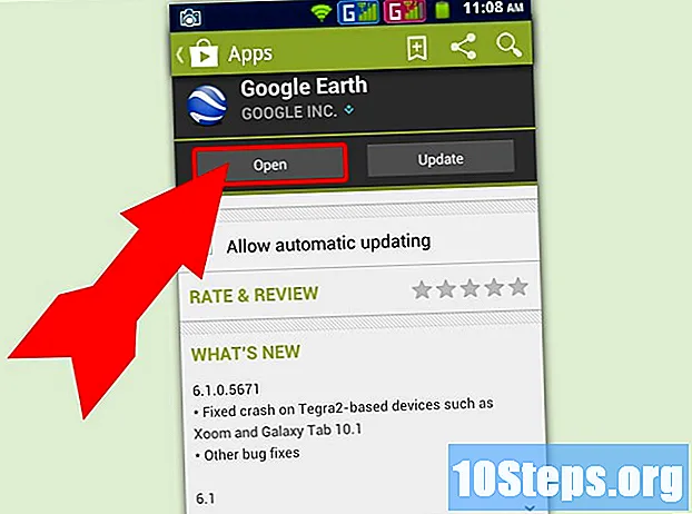 Sådan installeres Google Earth - Tips